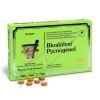 Bioaktivn Pycnogenol tbl. 90