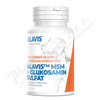 ALAVIS MSM+Glukosamin sulft tbl.60