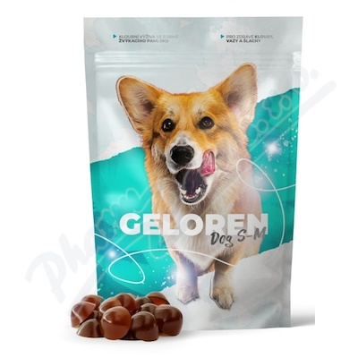 Geloren dog S-M kloubn viva 60ks el